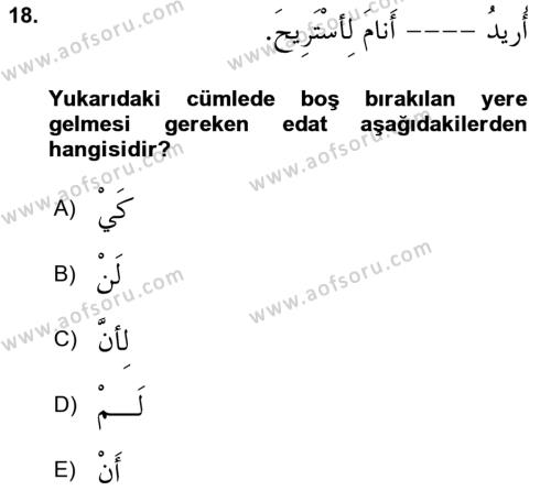 Arapça 3 Dersi 2023 - 2024 Yılı (Vize) Ara Sınavı 18. Soru