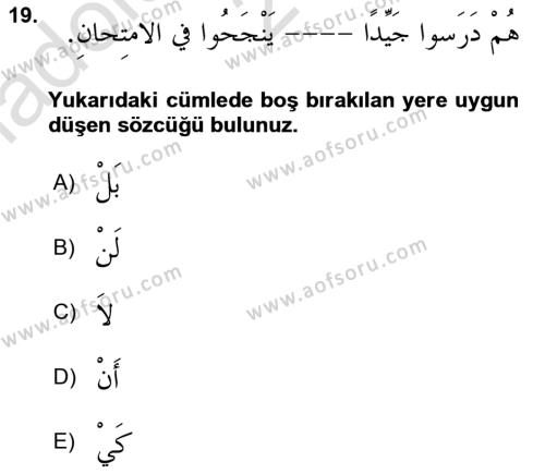 Arapça 3 Dersi 2023 - 2024 Yılı (Vize) Ara Sınavı 19. Soru