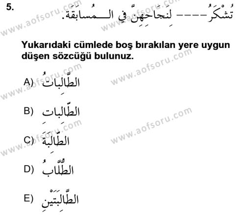 Arapça 3 Dersi 2023 - 2024 Yılı (Vize) Ara Sınavı 5. Soru