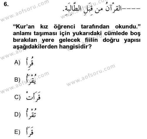 Arapça 3 Dersi 2023 - 2024 Yılı (Vize) Ara Sınavı 6. Soru