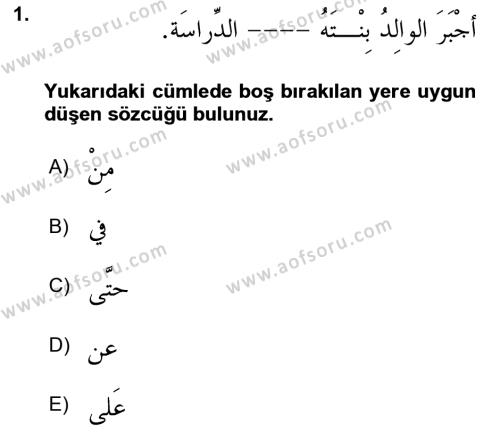 Arapça 3 Dersi 2023 - 2024 Yılı Yaz Okulu Sınavı 1. Soru