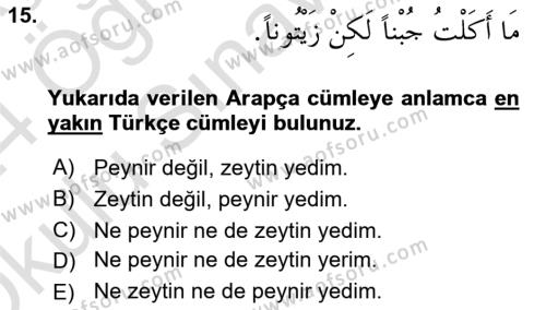 Arapça 3 Dersi 2023 - 2024 Yılı Yaz Okulu Sınavı 15. Soru