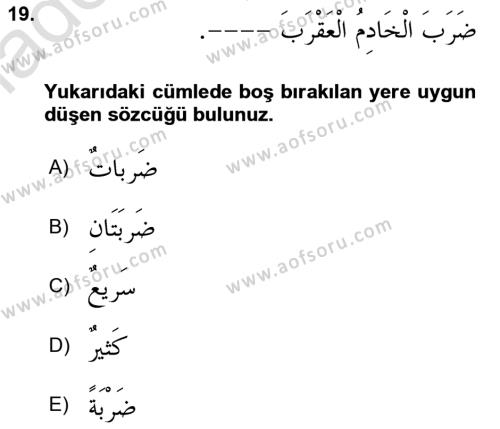 Arapça 3 Dersi 2023 - 2024 Yılı Yaz Okulu Sınavı 19. Soru