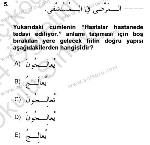Arapça 3 Dersi 2023 - 2024 Yılı Yaz Okulu Sınavı 5. Soru