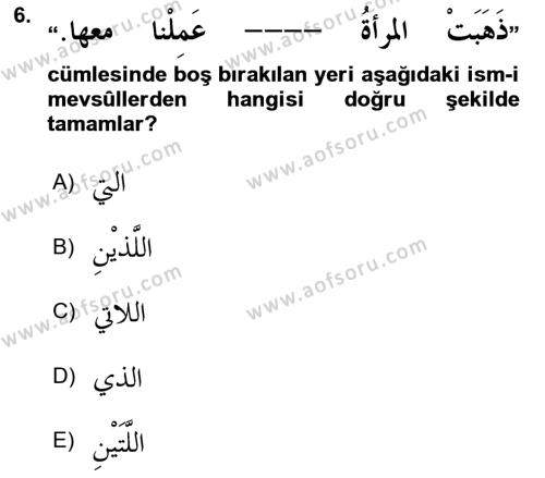 Arapça 3 Dersi 2023 - 2024 Yılı Yaz Okulu Sınavı 6. Soru