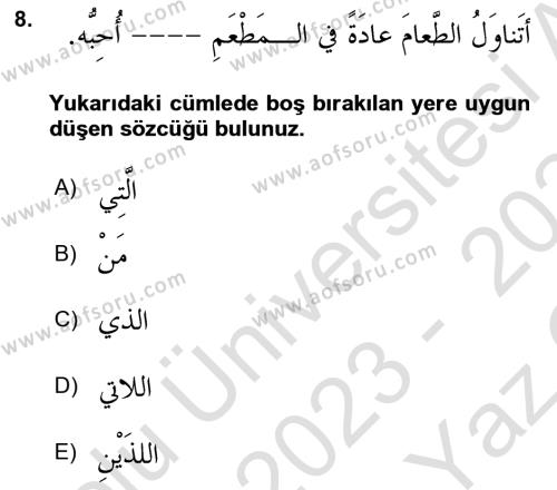 Arapça 3 Dersi 2023 - 2024 Yılı Yaz Okulu Sınavı 8. Soru