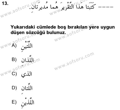 Arapça 3 Dersi 2024 - 2025 Yılı (Vize) Ara Sınavı 13. Soru