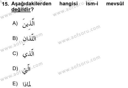 Arapça 3 Dersi 2024 - 2025 Yılı (Vize) Ara Sınavı 15. Soru