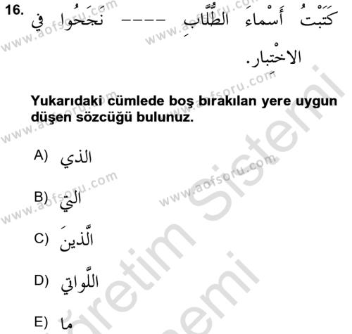Arapça 3 Dersi 2024 - 2025 Yılı (Vize) Ara Sınavı 16. Soru