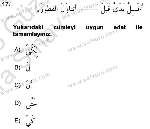 Arapça 3 Dersi 2024 - 2025 Yılı (Vize) Ara Sınavı 17. Soru