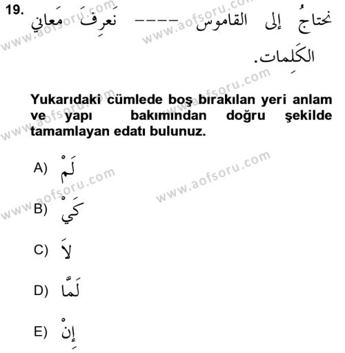 Arapça 3 Dersi 2024 - 2025 Yılı (Vize) Ara Sınavı 19. Soru
