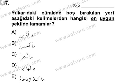 Arapça 4 Dersi 2012 - 2013 Yılı (Final) Dönem Sonu Sınavı 17. Soru