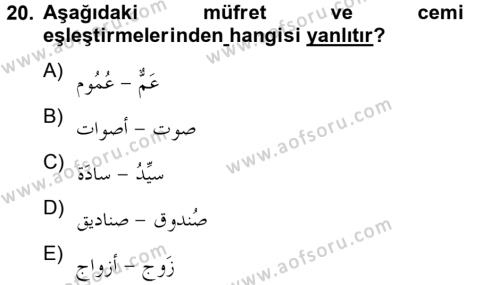 Arapça 4 Dersi 2012 - 2013 Yılı (Final) Dönem Sonu Sınavı 20. Soru