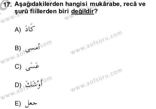 Arapça 4 Dersi 2013 - 2014 Yılı (Vize) Ara Sınavı 17. Soru
