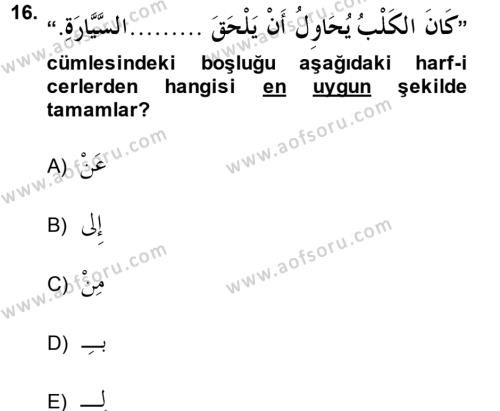 Arapça 4 Dersi 2014 - 2015 Yılı (Vize) Ara Sınavı 16. Soru