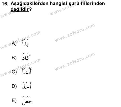 Arapça 4 Dersi 2020 - 2021 Yılı Yaz Okulu Sınavı 16. Soru