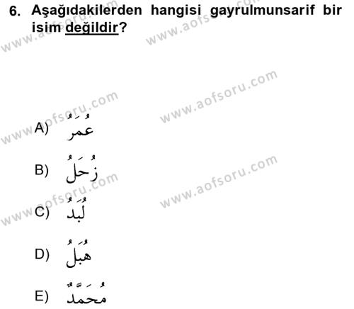 Arapça 4 Dersi 2021 - 2022 Yılı (Final) Dönem Sonu Sınavı 6. Soru