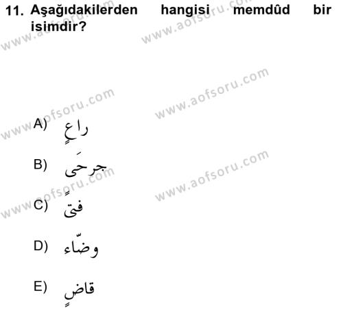 Arapça 4 Dersi 2021 - 2022 Yılı Yaz Okulu Sınavı 11. Soru