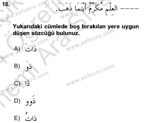 Arapça 4 Dersi 2023 - 2024 Yılı (Vize) Ara Sınavı 16. Soru