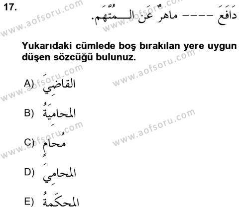Arapça 4 Dersi 2023 - 2024 Yılı (Vize) Ara Sınavı 17. Soru