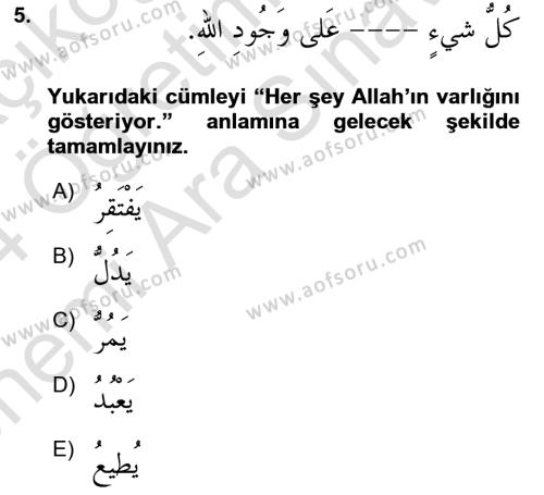 Arapça 4 Dersi 2023 - 2024 Yılı (Vize) Ara Sınavı 5. Soru