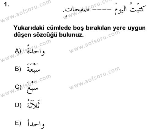 Arapça 4 Dersi 2023 - 2024 Yılı (Final) Dönem Sonu Sınavı 1. Soru
