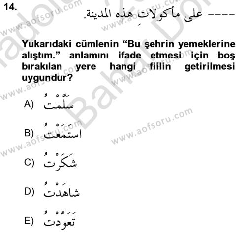 Arapça 4 Dersi 2023 - 2024 Yılı (Final) Dönem Sonu Sınavı 14. Soru