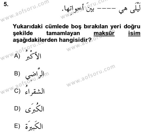 Arapça 4 Dersi 2023 - 2024 Yılı (Final) Dönem Sonu Sınavı 5. Soru