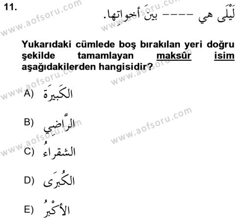 Arapça 4 Dersi 2023 - 2024 Yılı Yaz Okulu Sınavı 11. Soru