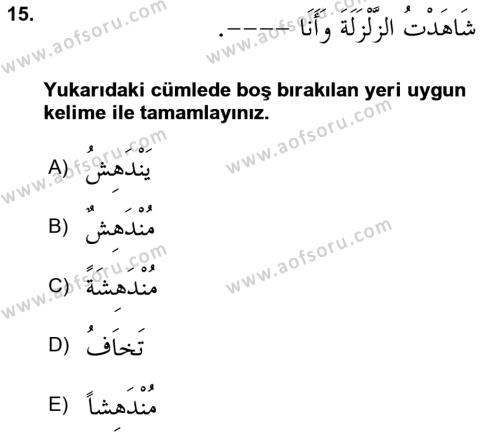 Arapça 4 Dersi 2023 - 2024 Yılı Yaz Okulu Sınavı 15. Soru
