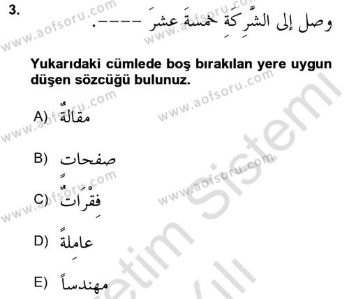 Arapça 4 Dersi 2023 - 2024 Yılı Yaz Okulu Sınavı 3. Soru