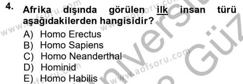 Anadolu Arkeolojisi Dersi 2012 - 2013 Yılı (Vize) Ara Sınavı 4. Soru