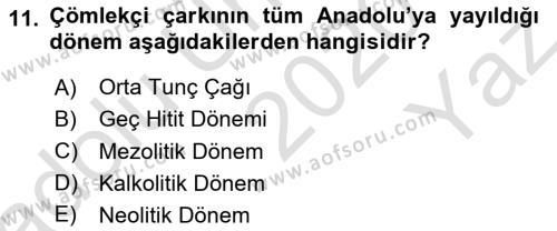 Anadolu Arkeolojisi Dersi 2020 - 2021 Yılı Yaz Okulu Sınavı 11. Soru