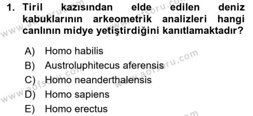 Gastronomi Tarihi Dersi 2023 - 2024 Yılı (Final) Dönem Sonu Sınavı 1. Soru