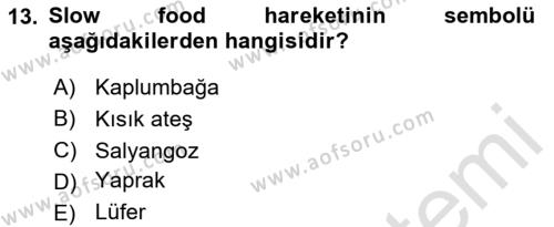 Gastronomi Tarihi Dersi 2023 - 2024 Yılı (Final) Dönem Sonu Sınavı 13. Soru