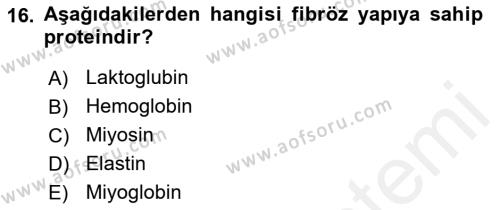 Beslenmenin Temel İlkeleri Dersi 2018 - 2019 Yılı (Vize) Ara Sınavı 16. Soru