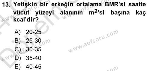 Beslenmenin Temel İlkeleri Dersi 2023 - 2024 Yılı (Final) Dönem Sonu Sınavı 13. Soru