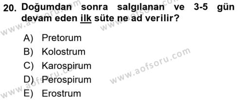 Beslenmenin Temel İlkeleri Dersi 2023 - 2024 Yılı (Final) Dönem Sonu Sınavı 20. Soru