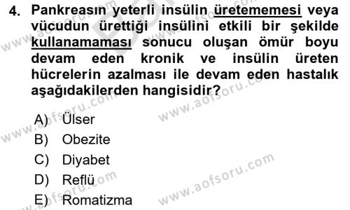 Beslenmenin Temel İlkeleri Dersi 2023 - 2024 Yılı (Final) Dönem Sonu Sınavı 4. Soru