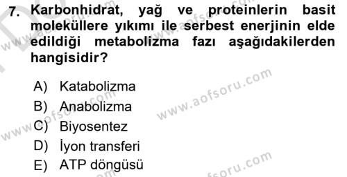 Beslenmenin Temel İlkeleri Dersi 2023 - 2024 Yılı (Final) Dönem Sonu Sınavı 7. Soru