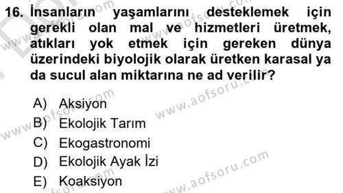 Gastronomi Ve Sürdürülebilirlik Dersi 2023 - 2024 Yılı (Final) Dönem Sonu Sınavı 16. Soru