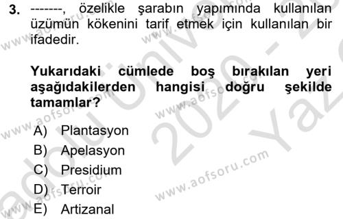 Yemek Sosyolojisi Dersi 2020 - 2021 Yılı Yaz Okulu Sınavı 3. Soru