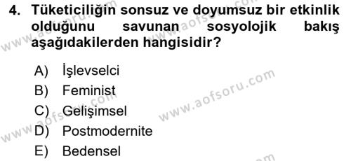 Yemek Sosyolojisi Dersi 2020 - 2021 Yılı Yaz Okulu Sınavı 4. Soru