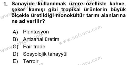 Yemek Sosyolojisi Dersi 2021 - 2022 Yılı (Vize) Ara Sınavı 1. Soru