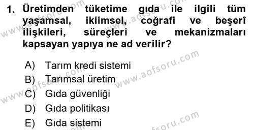 Yemek Sosyolojisi Dersi 2023 - 2024 Yılı (Final) Dönem Sonu Sınavı 1. Soru