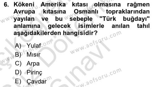 Türk Mutfak Kültürü Dersi 2019 - 2020 Yılı (Final) Dönem Sonu Sınavı 6. Soru