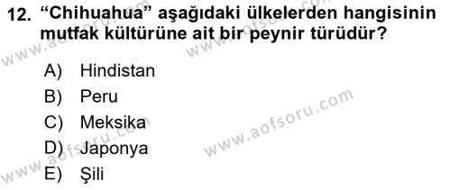 Dünya Mutfakları 1 Dersi 2022 - 2023 Yılı Yaz Okulu Sınavı 12. Soru