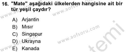 Dünya Mutfakları 1 Dersi 2022 - 2023 Yılı Yaz Okulu Sınavı 16. Soru