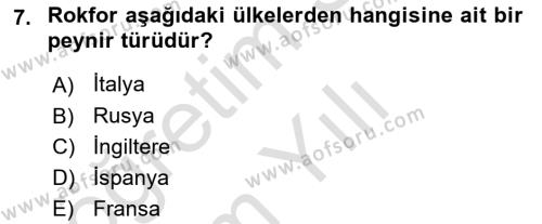 Dünya Mutfakları 1 Dersi 2022 - 2023 Yılı Yaz Okulu Sınavı 7. Soru