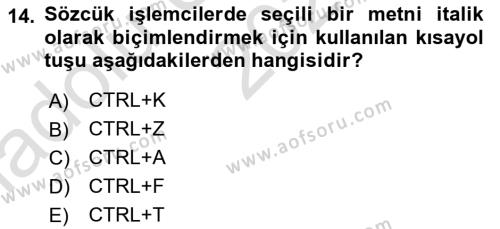 Temel Bilgi Teknolojileri 1 Dersi 2022 - 2023 Yılı (Vize) Ara Sınavı 14. Soru